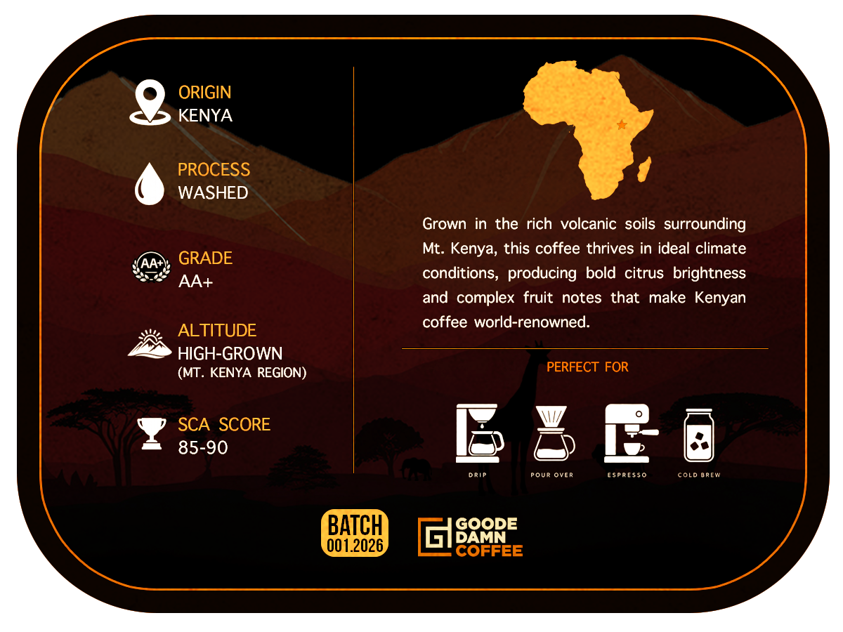 FIRST DROP - Kenya AA Plus Coffee